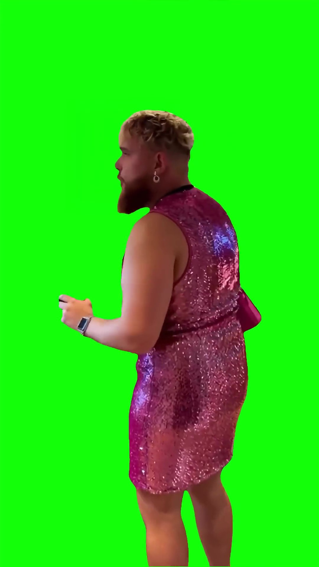 Karen Paul Green Screen Meme