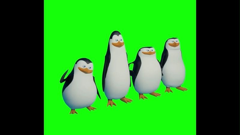 Kawazaki Cago Krico Estriper Green Screen Memes