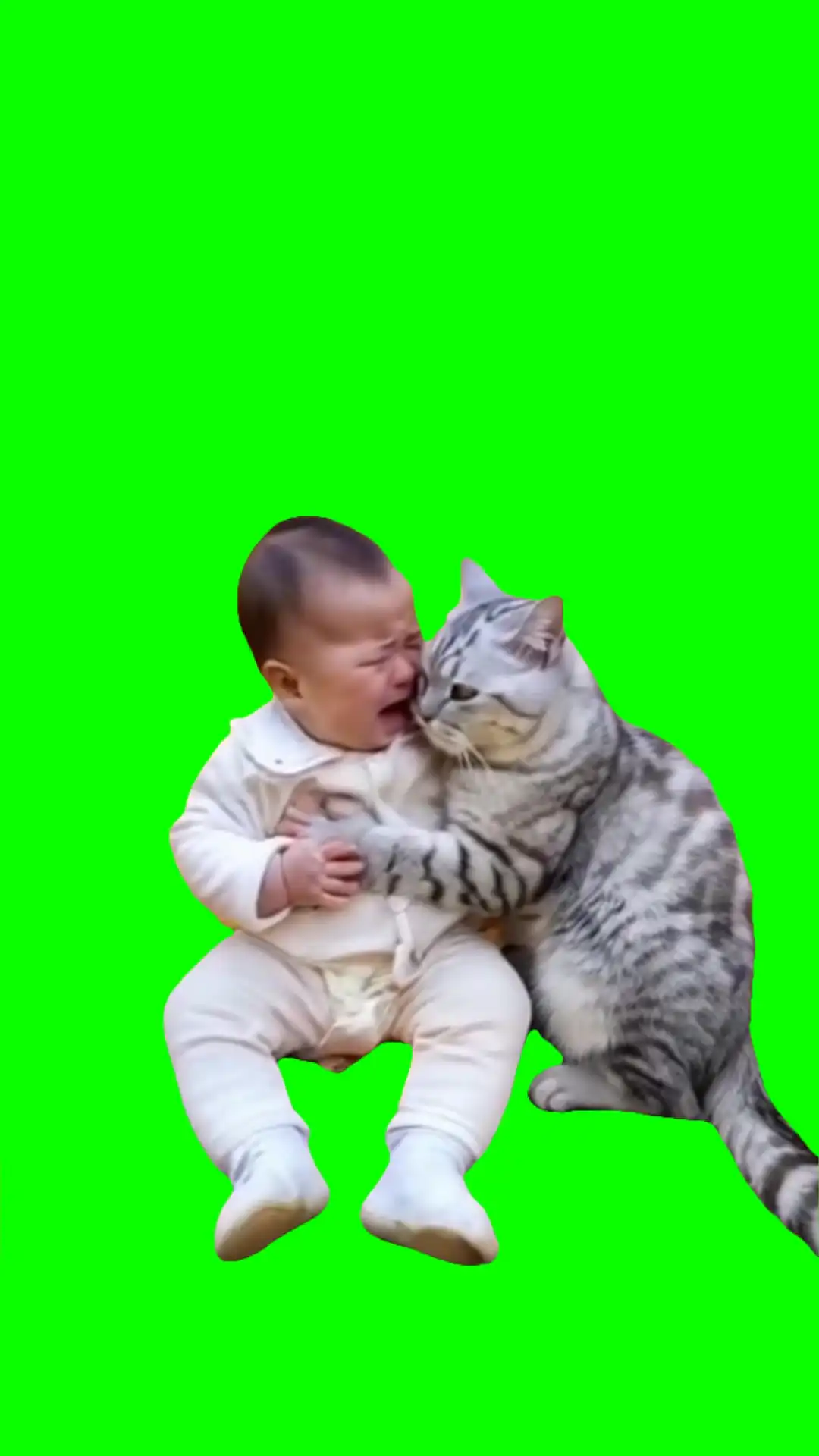 Kid crying with cat meme green screen