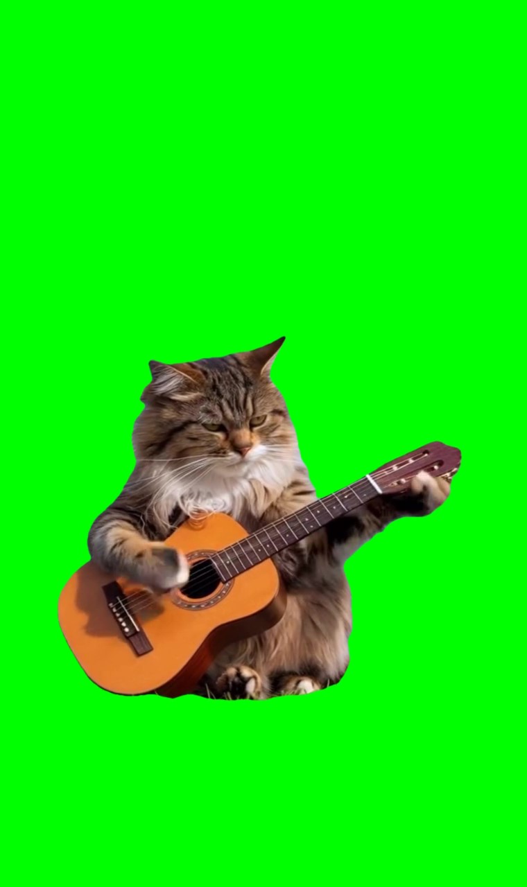 Kitten playing guitar meme green screen
