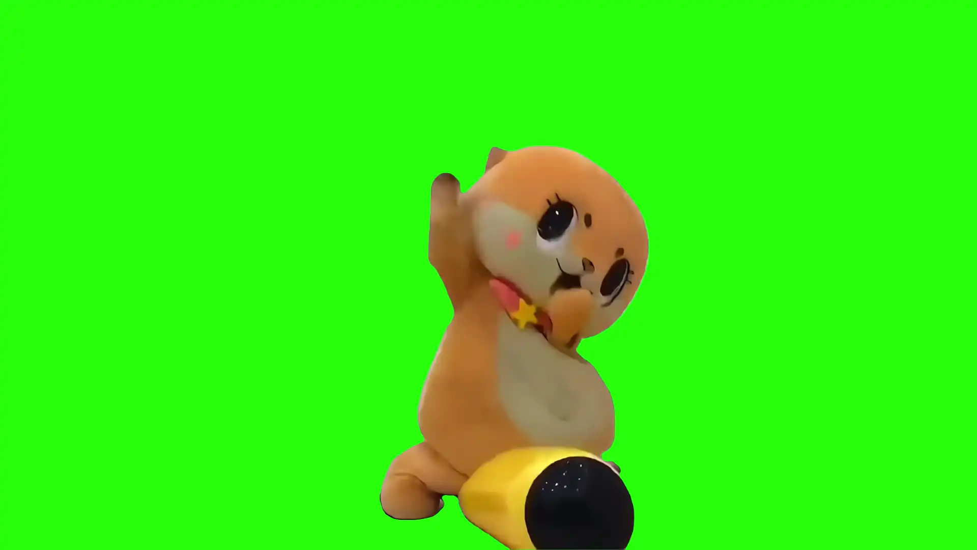 kitten punches Green screen