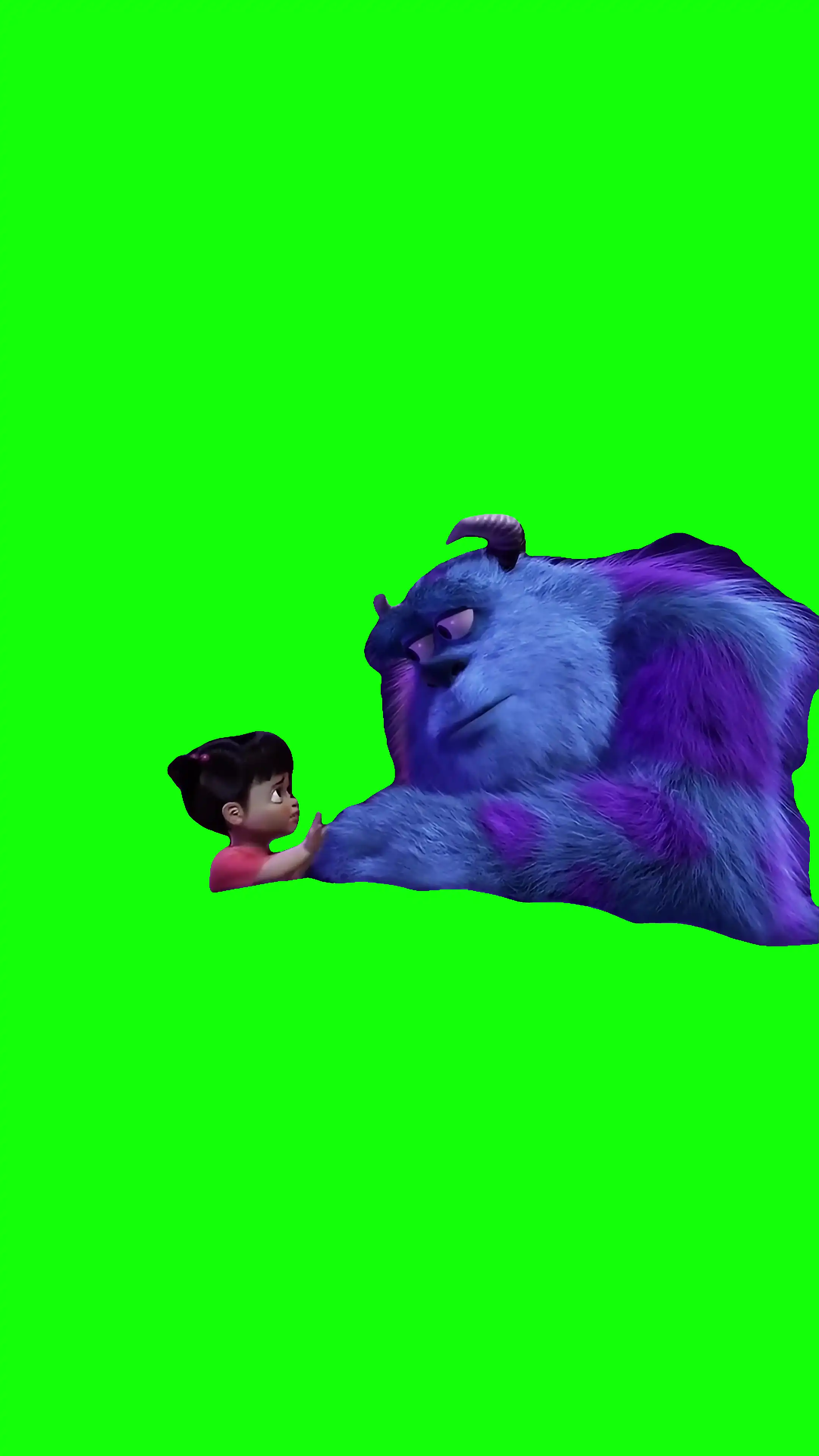 KITTY HAS TO GO Green Screen