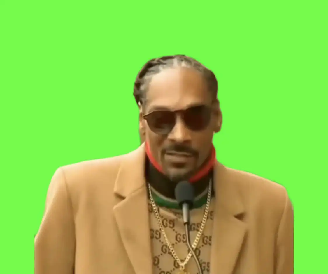 Last but not least I wanna thank me snoop dogg green screen