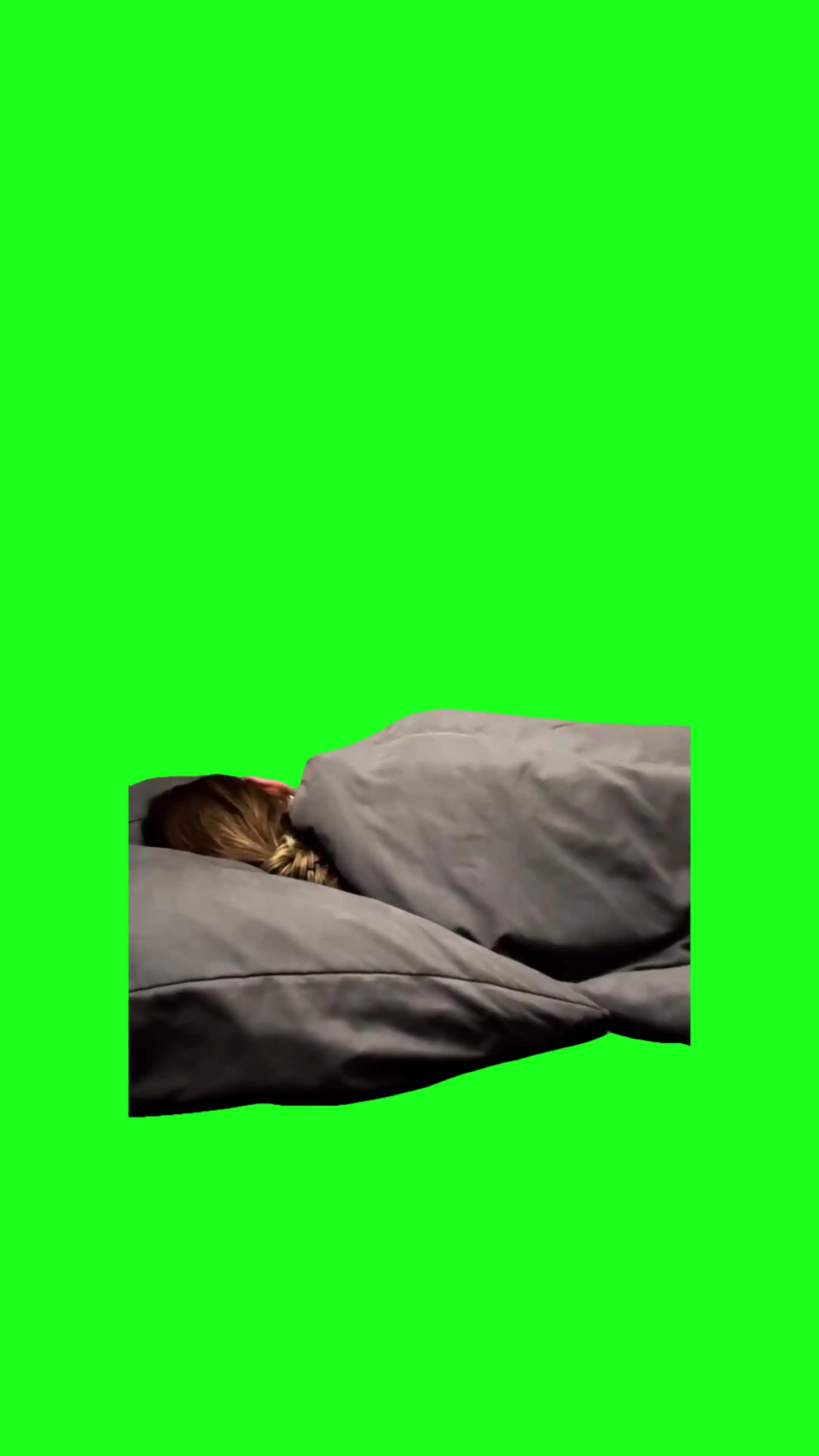 laughing in bed Green Screen Meme