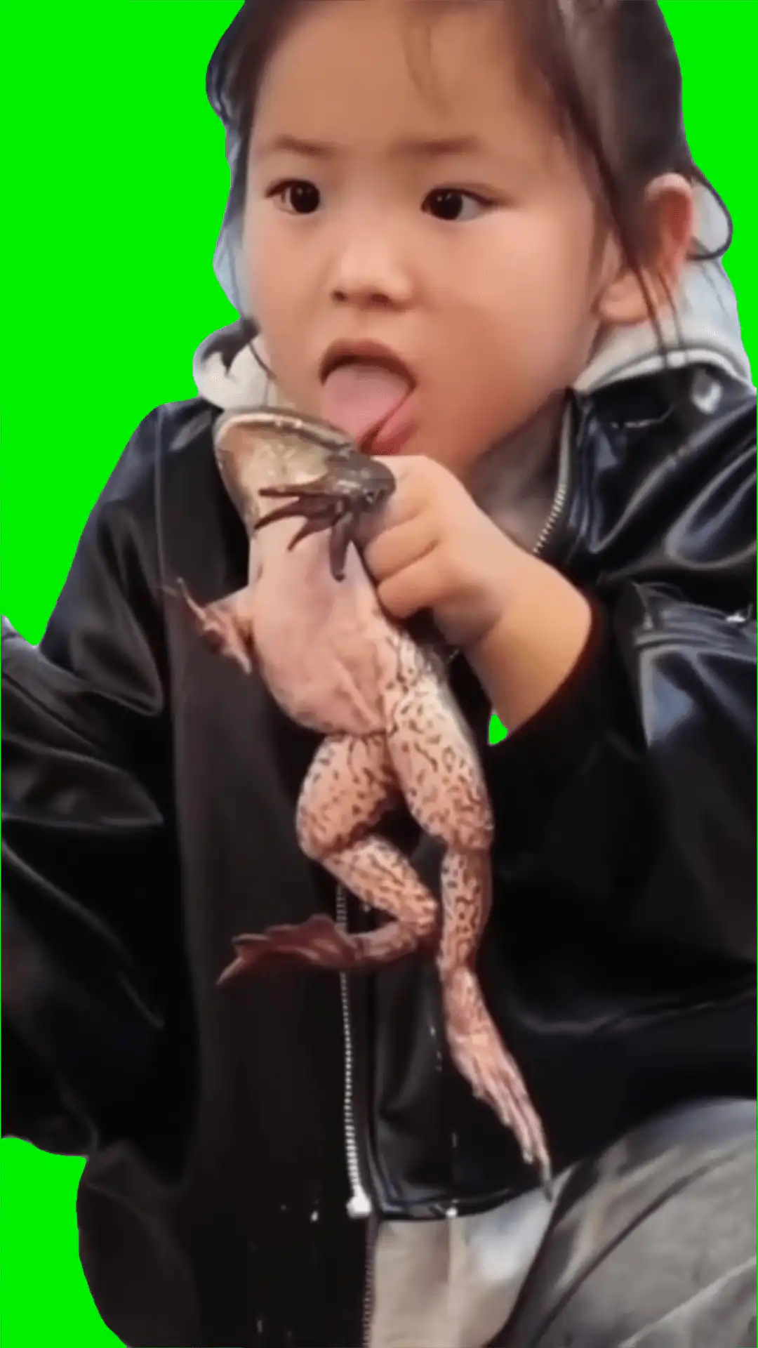 Licking n spitting meme green screen