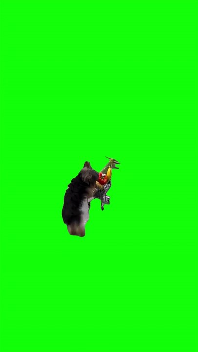 Little dog with a shopping cart Meme Green Screen