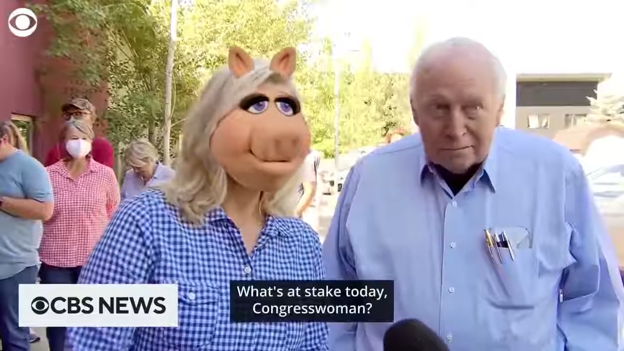 Liz Cheney Interview Funny Meme Video