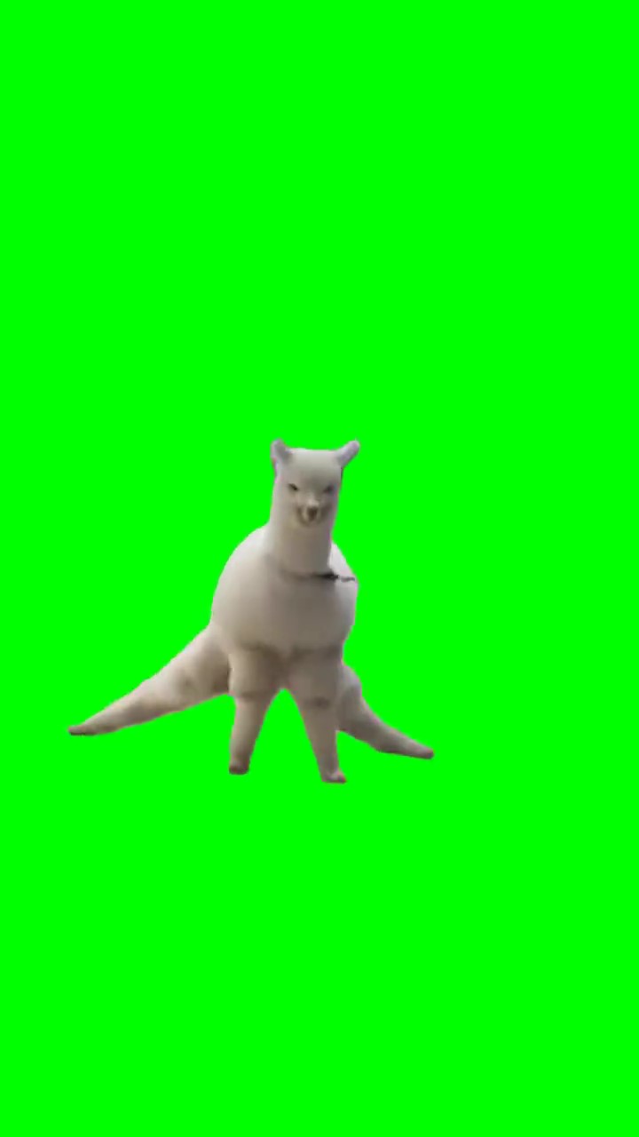 Llama leg splits Green Screen
