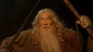 Lord Of The Rings You Shall Not Pass