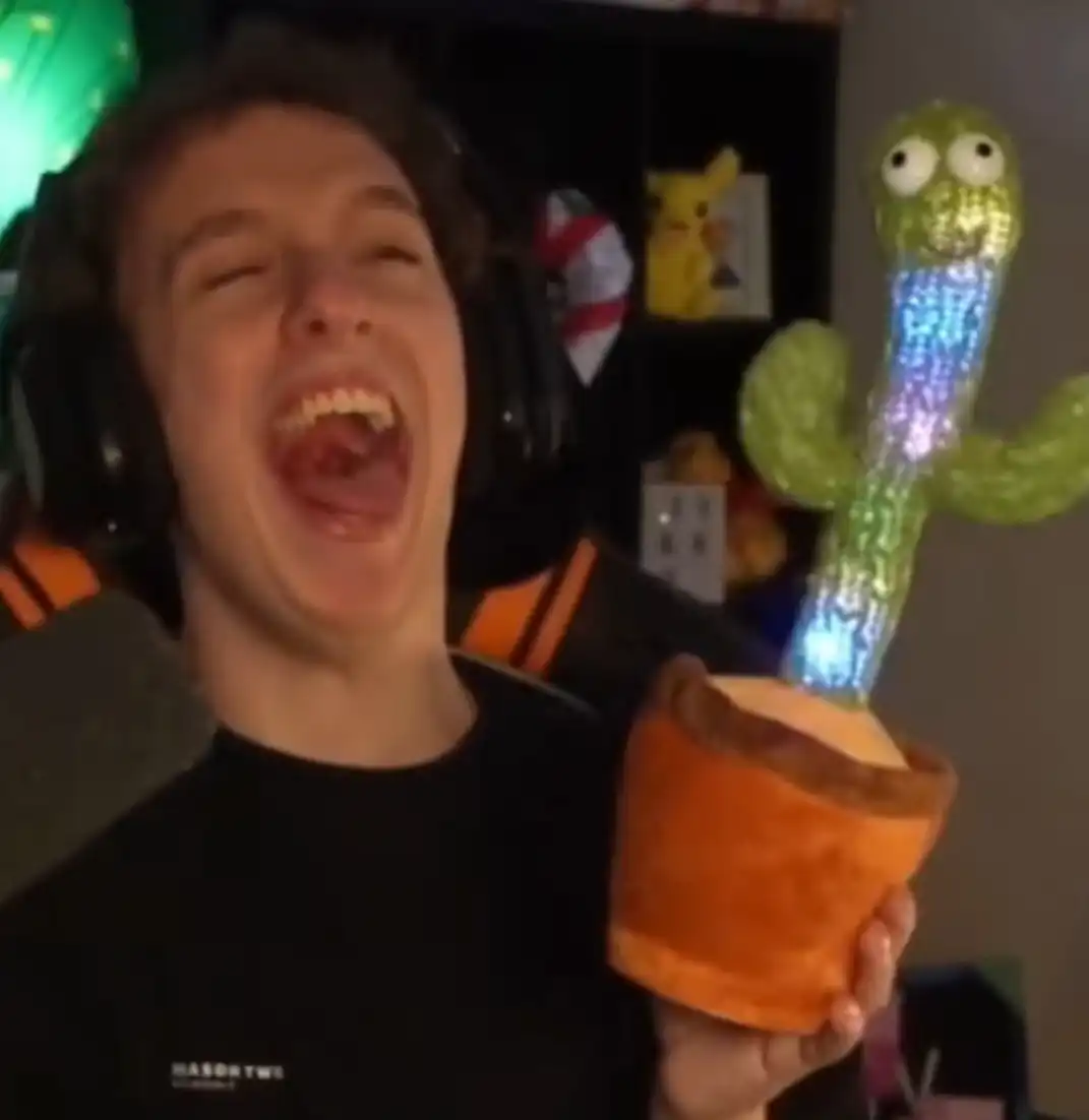 luxembourgish / german Streamer Lets Hugo gets inspirational quote by his singing cactus