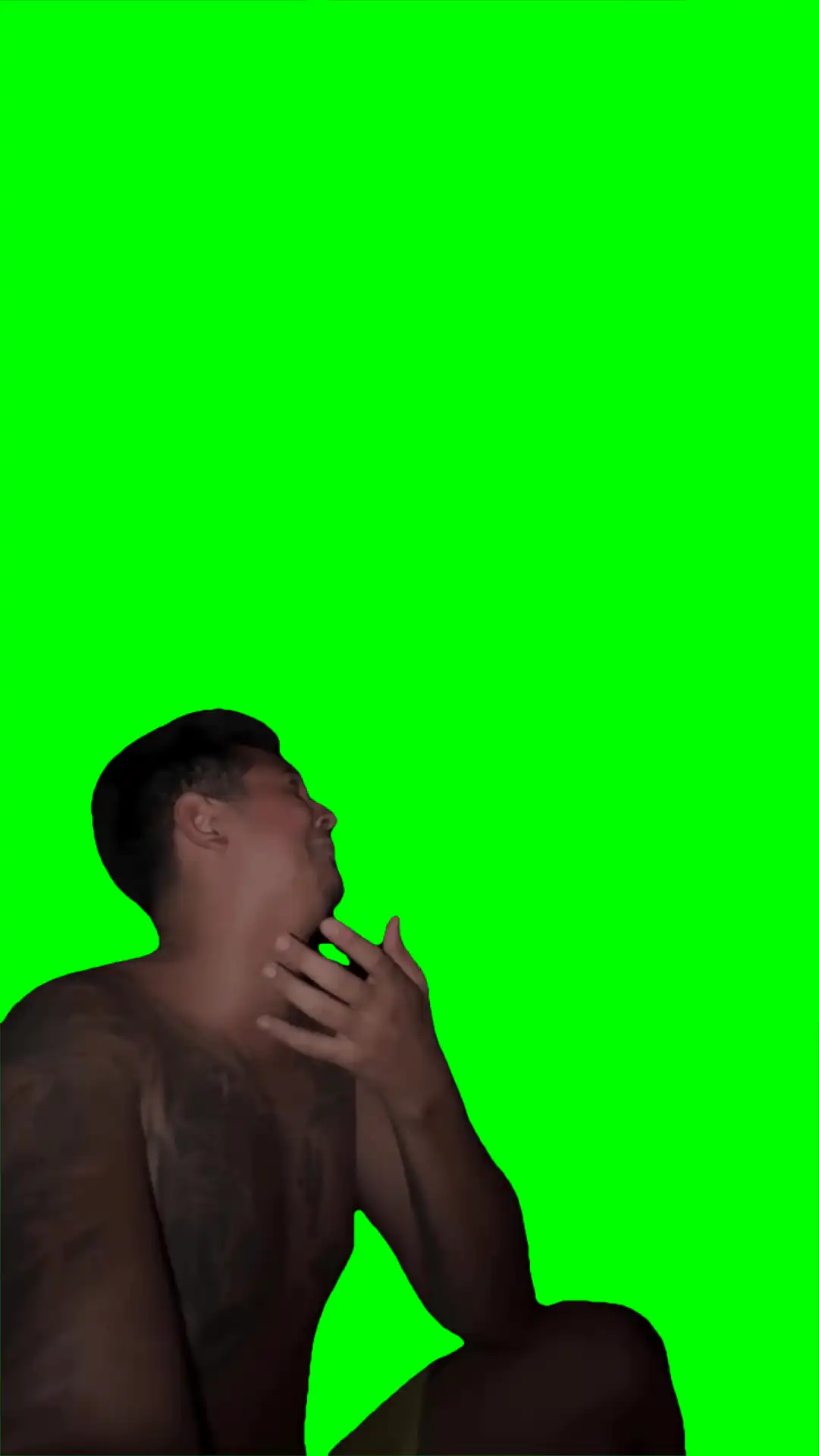 Man complaining meme Green Screen
