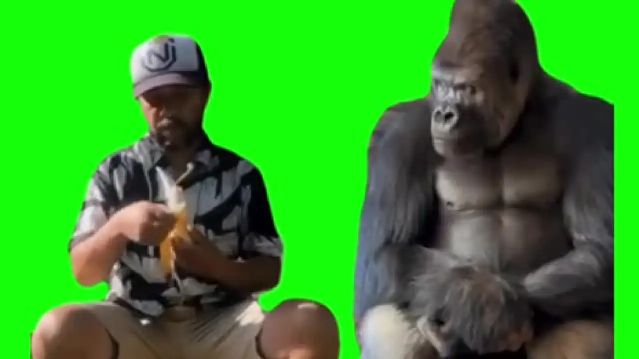 Man eating banana meme green screen