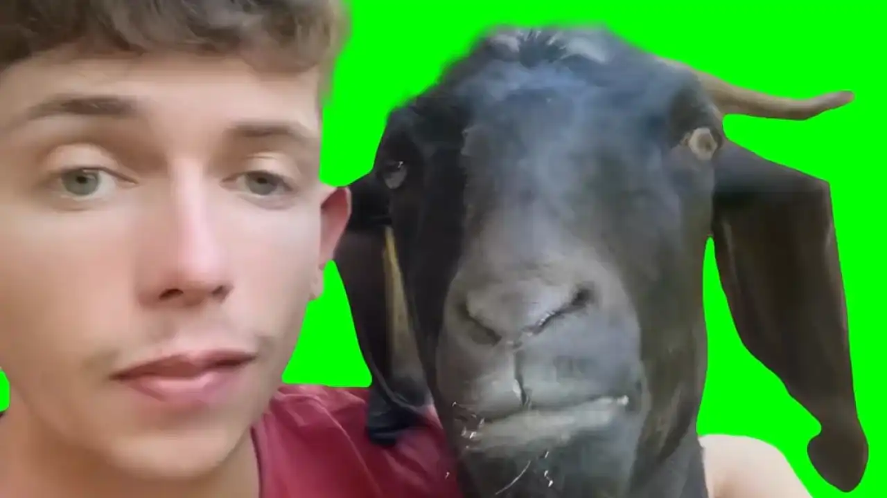 Man singing to a goat Green Screen