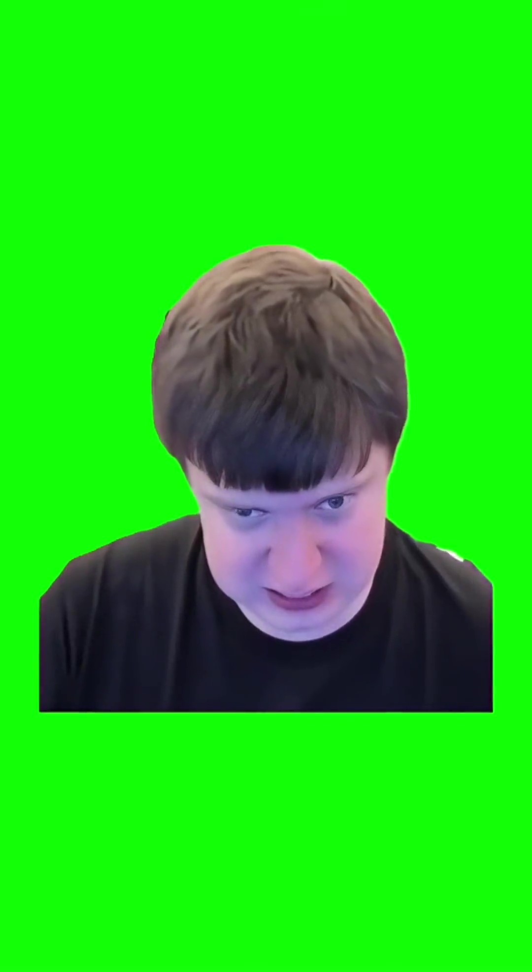 Melstroy Grunting Green Screen Meme