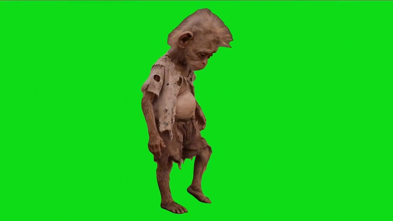 Meme Download for Video Editing