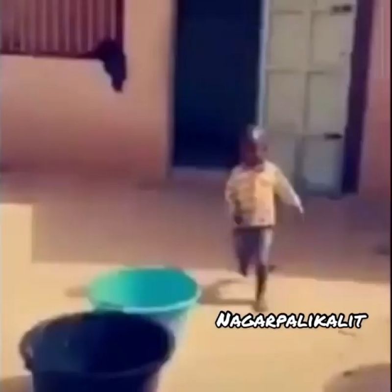 Meme Video Download | Video Meme Download | Meme Video