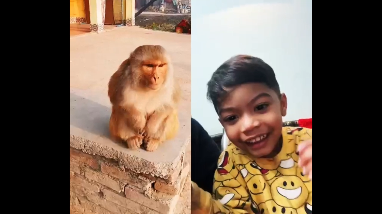 Memes Download For Funny Video