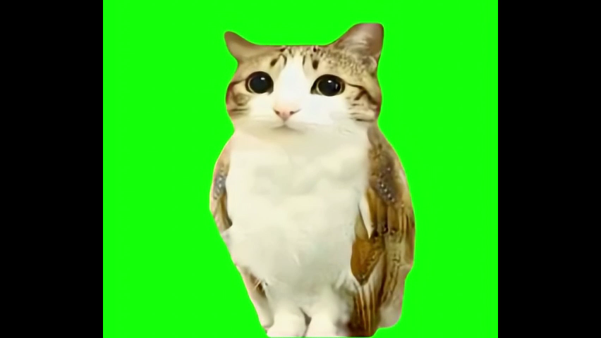 Meow Green Screen Memes