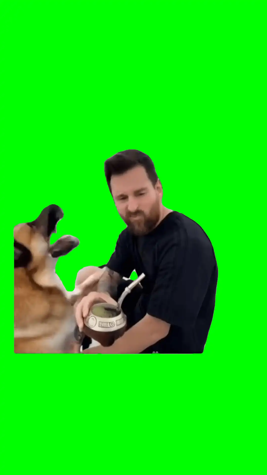 Messi Barking at the dog Meme Green Screen