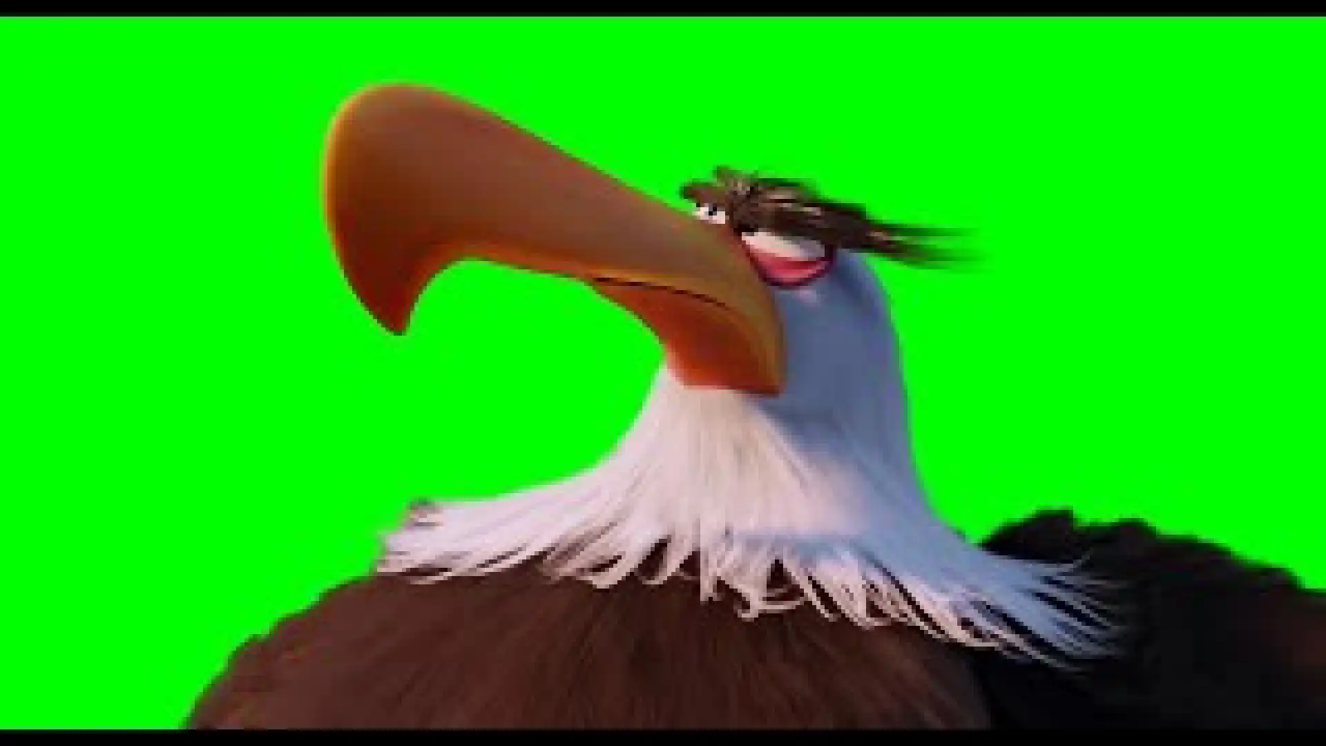 Mighty Eagle No green screen