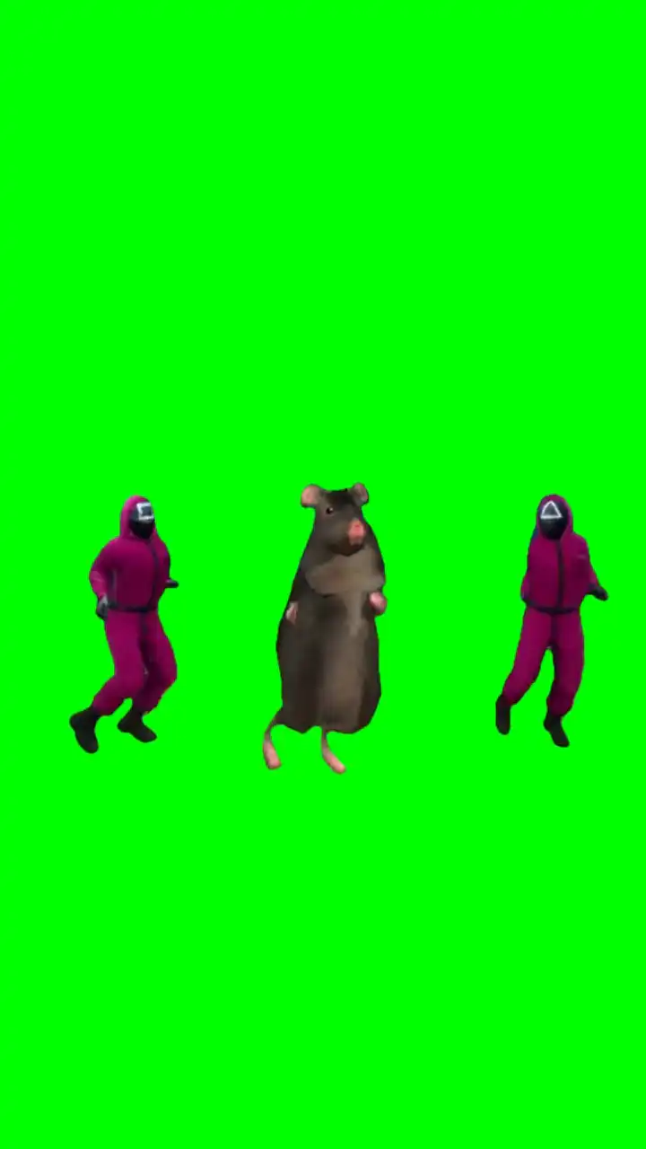 Mingle rat dancing green screen