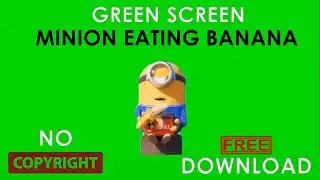 Minion Eat Banana Green Screen