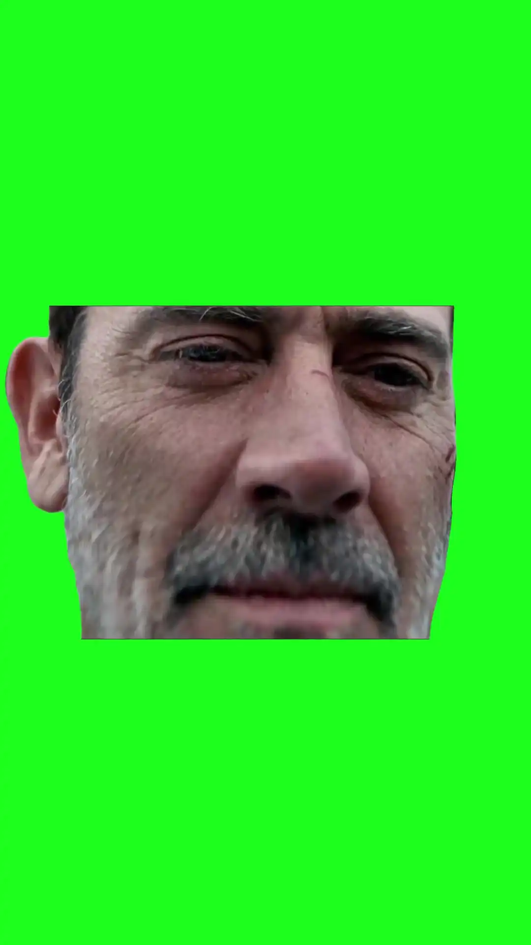 Mischievous look Green Screen Meme