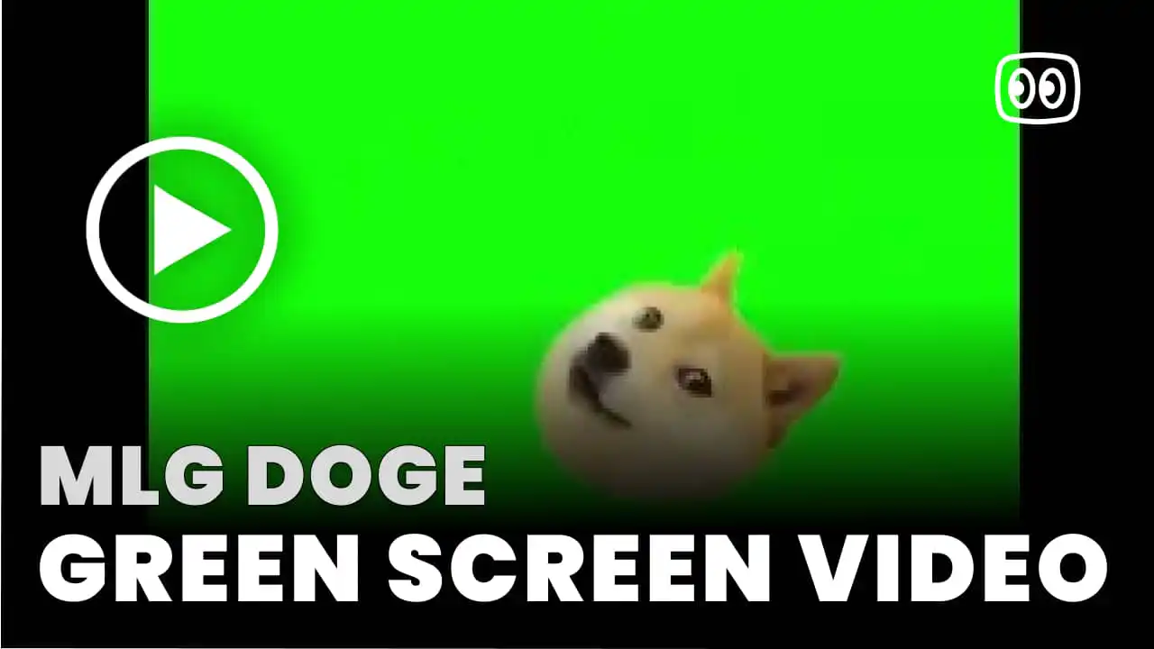 MLG Doge Green Screen