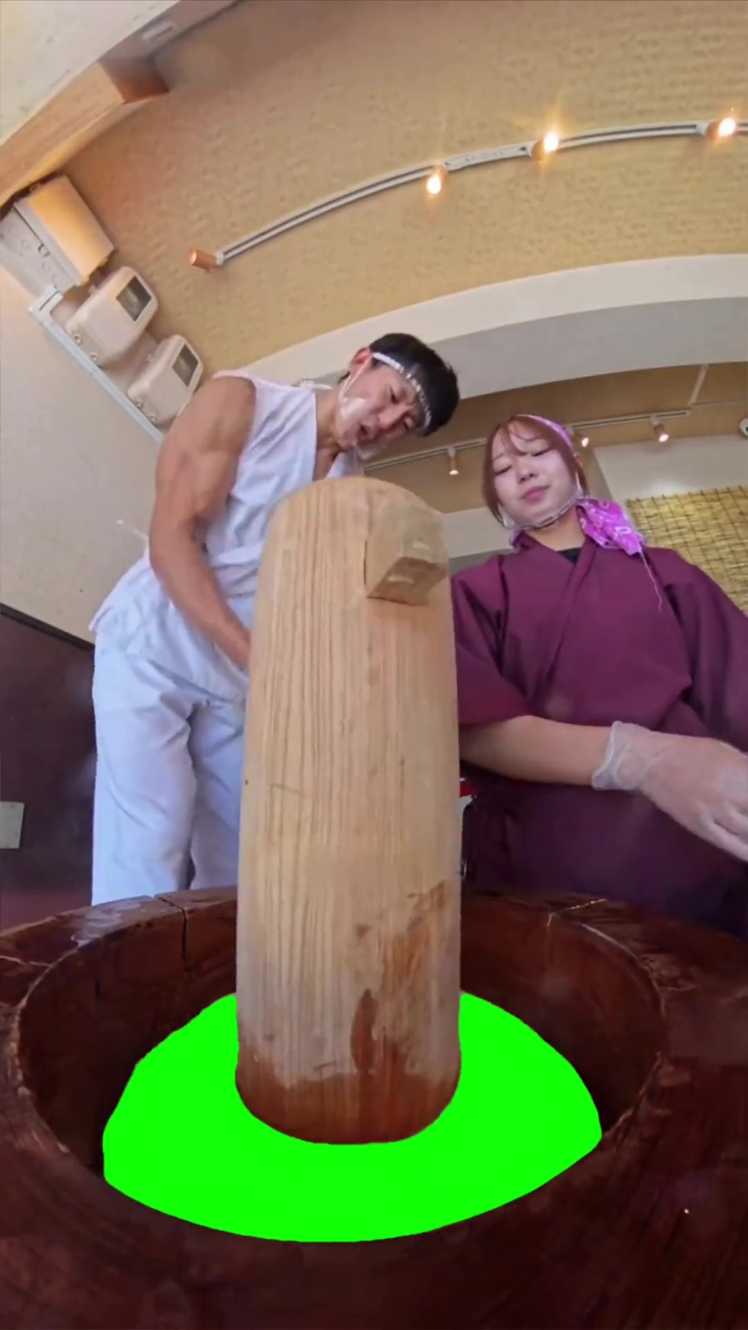 Mochi Pound V2 Green Screen meme