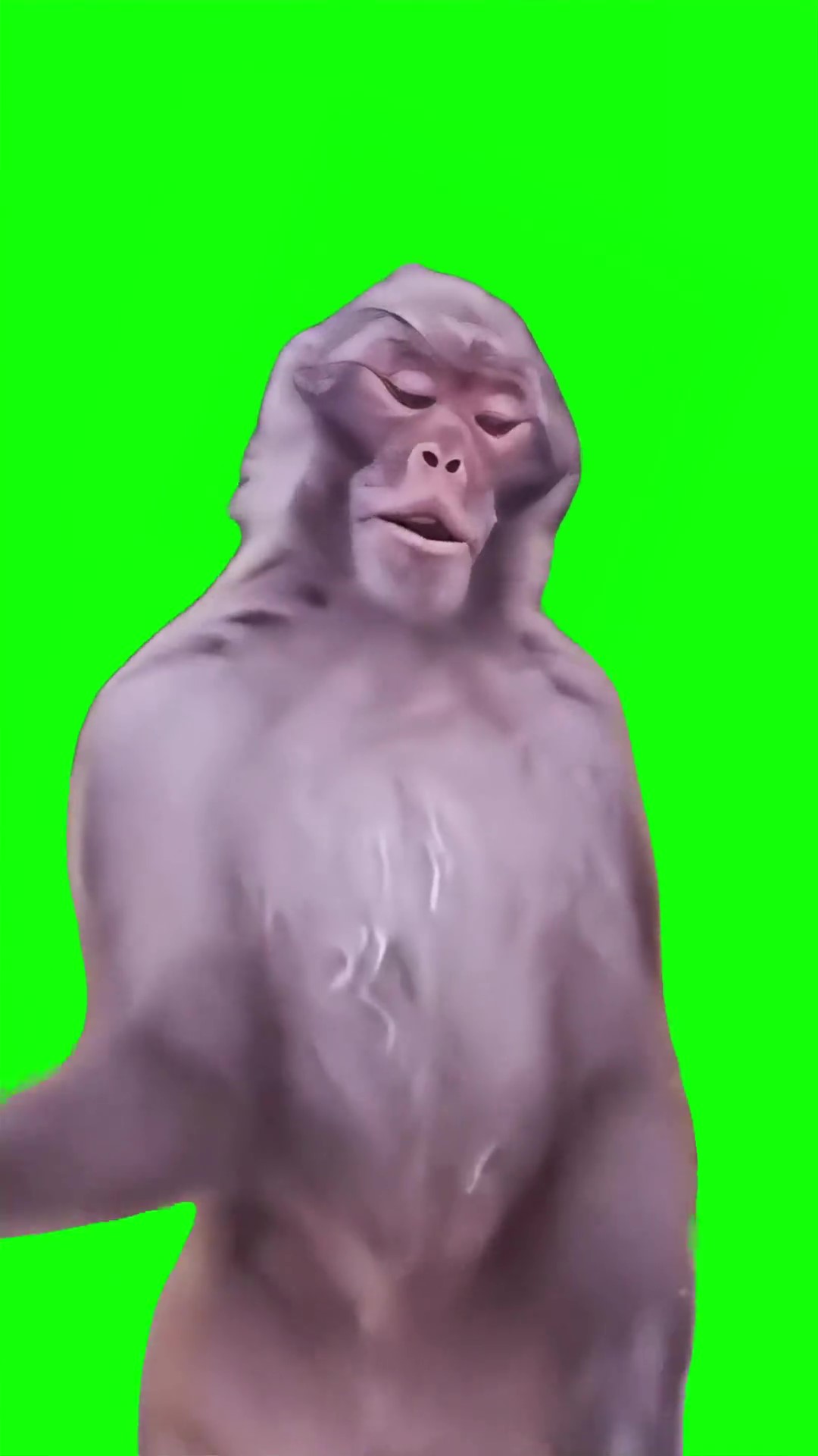 Monkey Bare Minimum Green Screen Meme