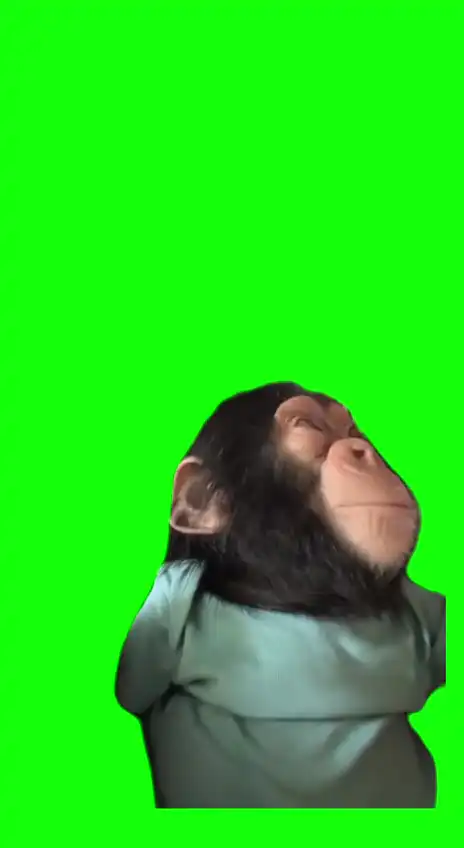 Monkey Blowing Raspberries meme Green Screen