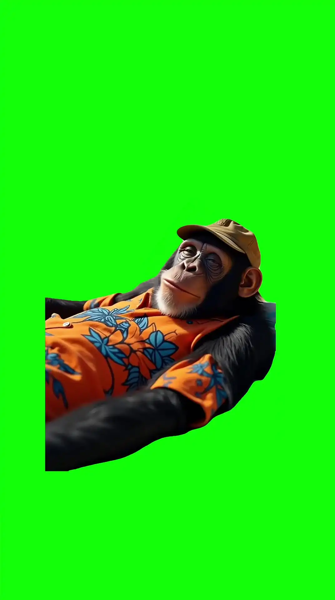 Monkey Chilling green screen