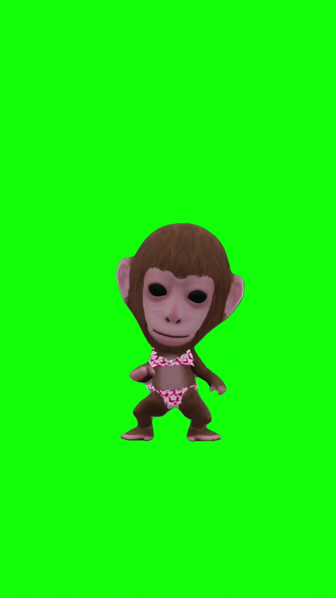 Monkey dont hide Green Screen Meme