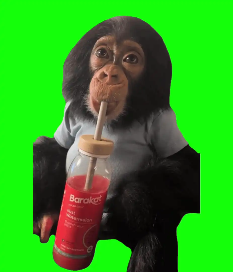 Monkey drinking out of a straw meme