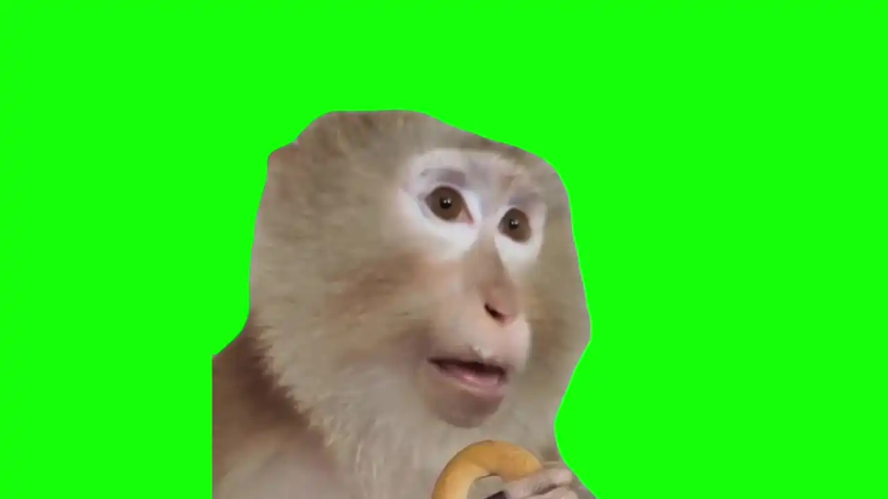 Monkey eating yogurt meme green screen