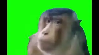 Monkey FNAF Sound Green Screen