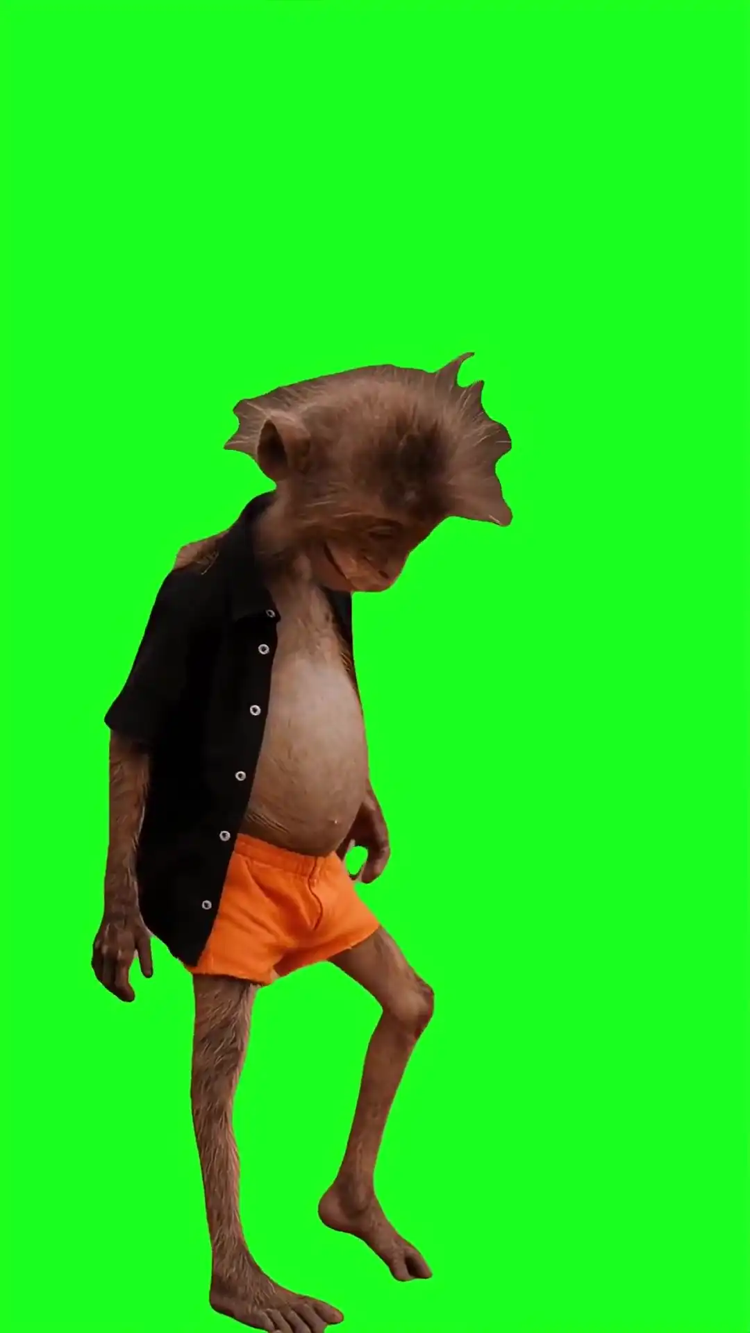 Monkey in shorts dancing Green Screen Meme