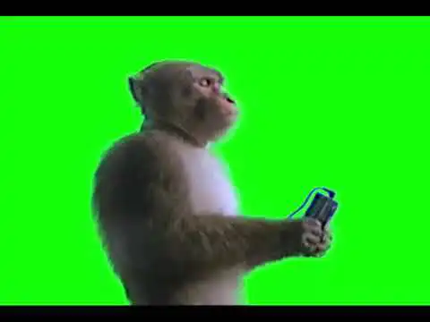 Monkey Listening to Music Green Screen