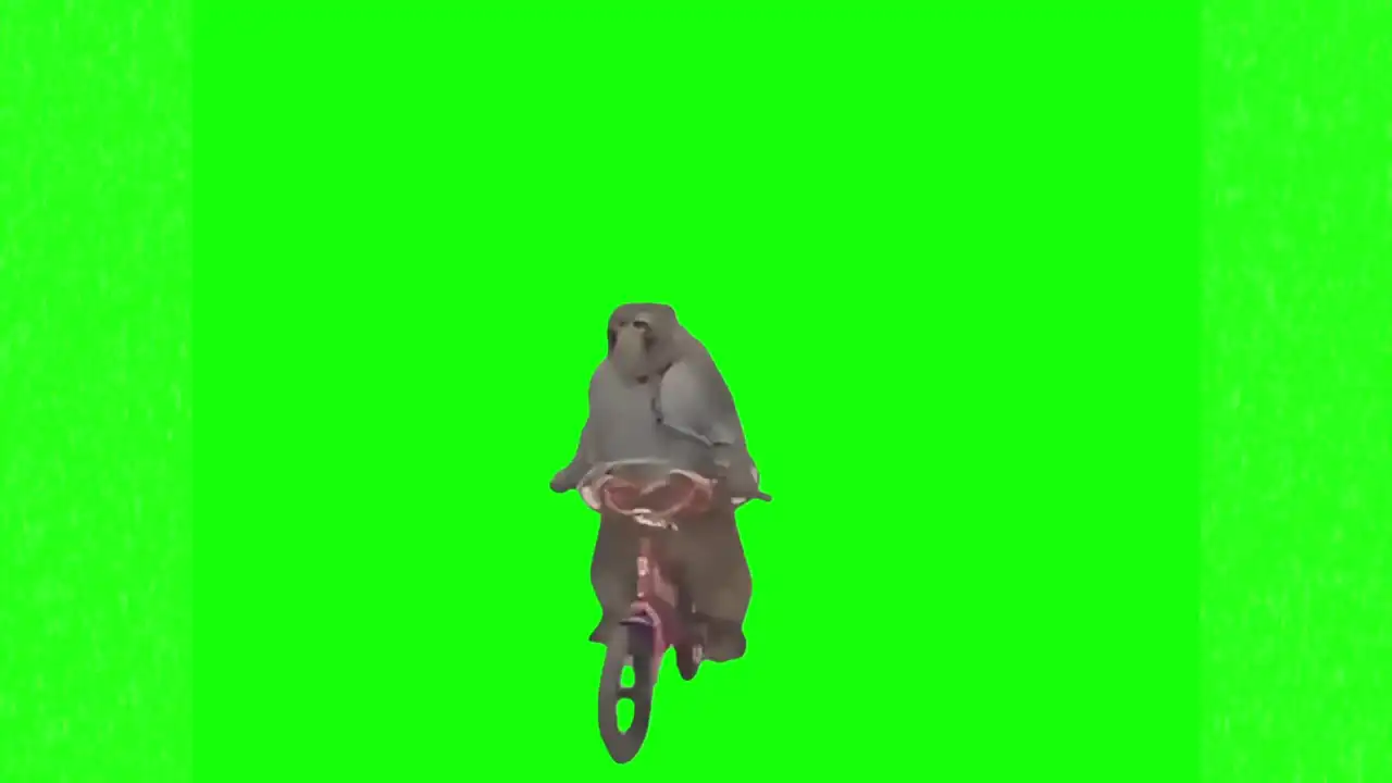 Monkey riding a bike meme green screen
