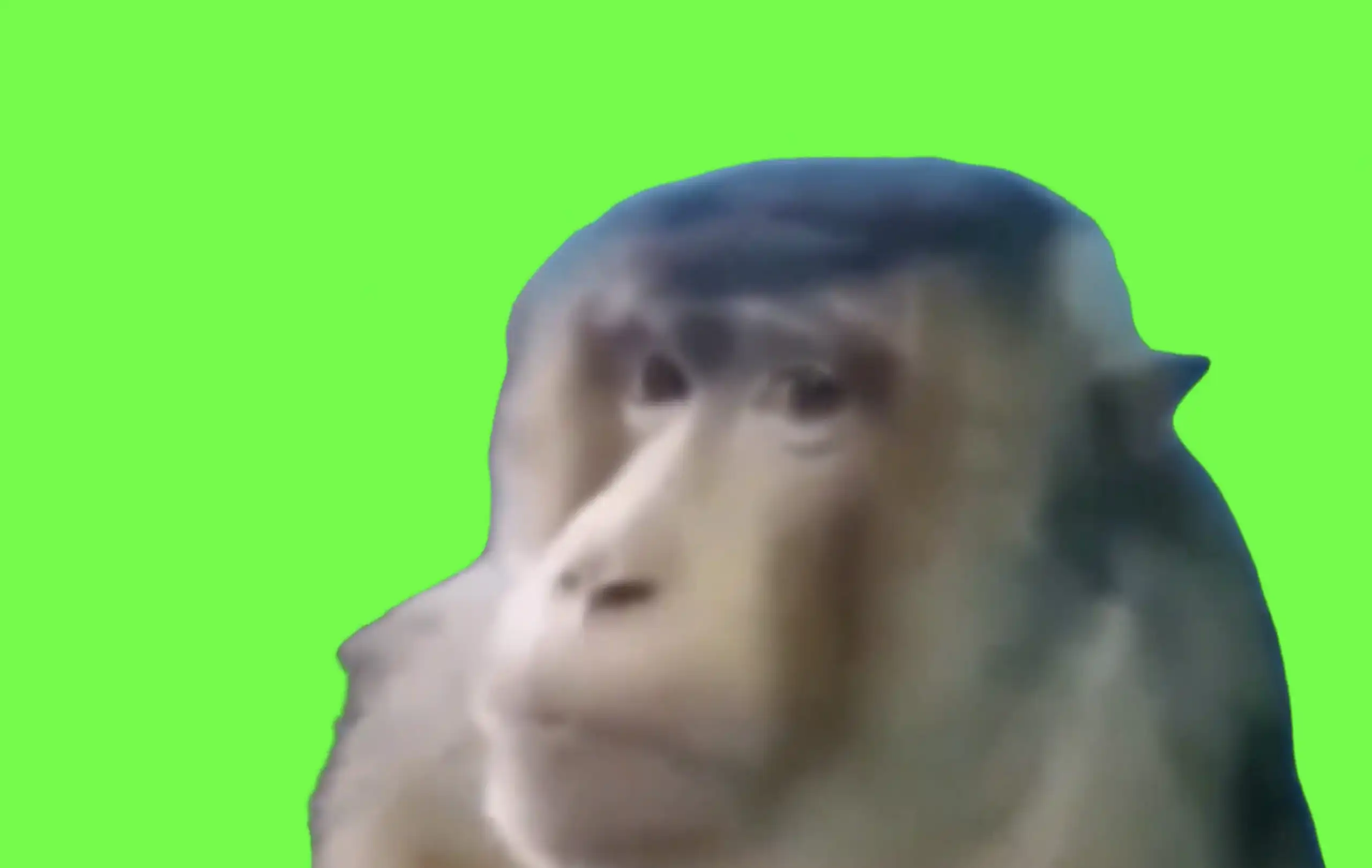 monkey side eye FNAF 2 ambience green screen