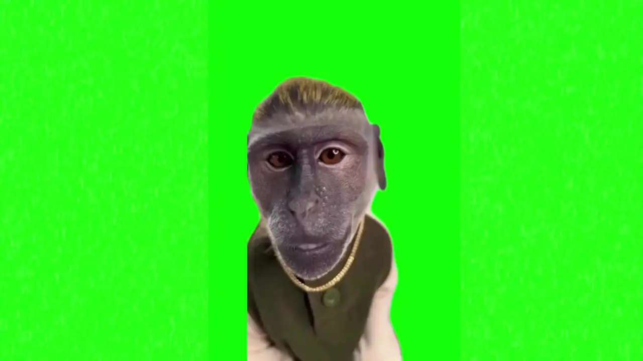 Monkey with drip meme green screen