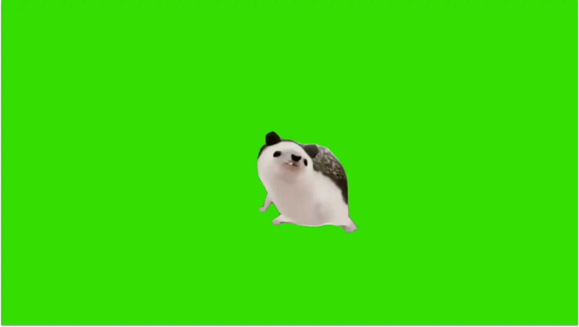 Mother Father Gentleman Hedgehog
