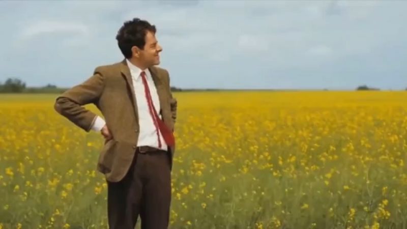 Mr Bean Waiting Meme Template Video