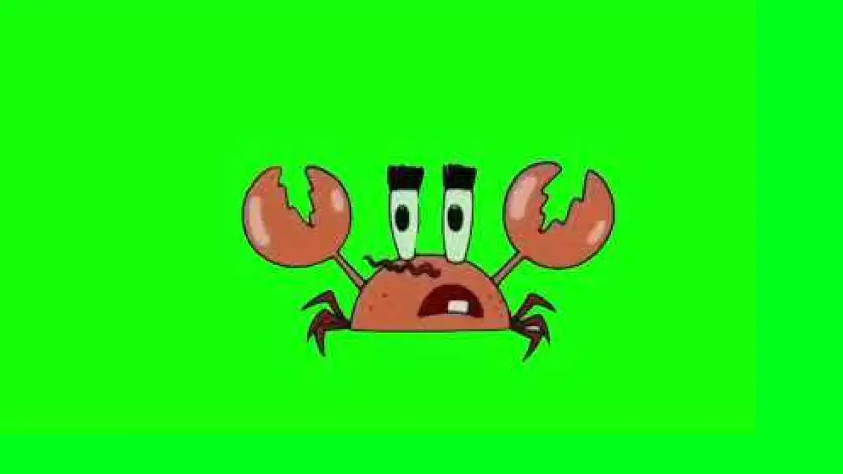 Mr Krabs Money Money Green Screen
