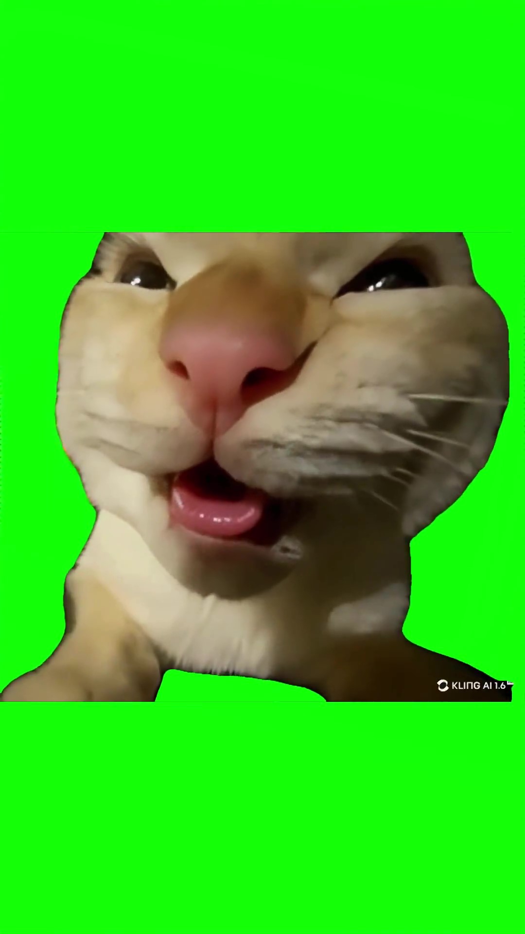 Mu hehehehe Green Screen Meme