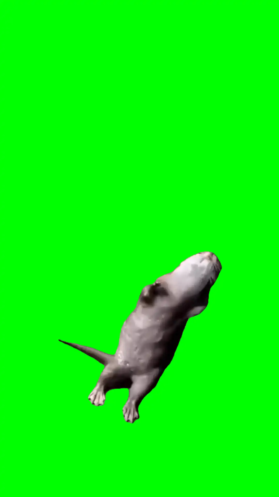 Nasty Girl dance meme green screen