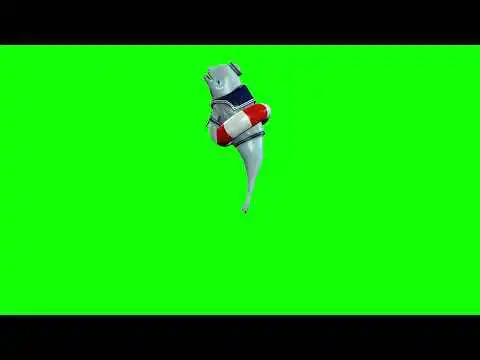 Navy Dolphin Spawn Side View Green screen