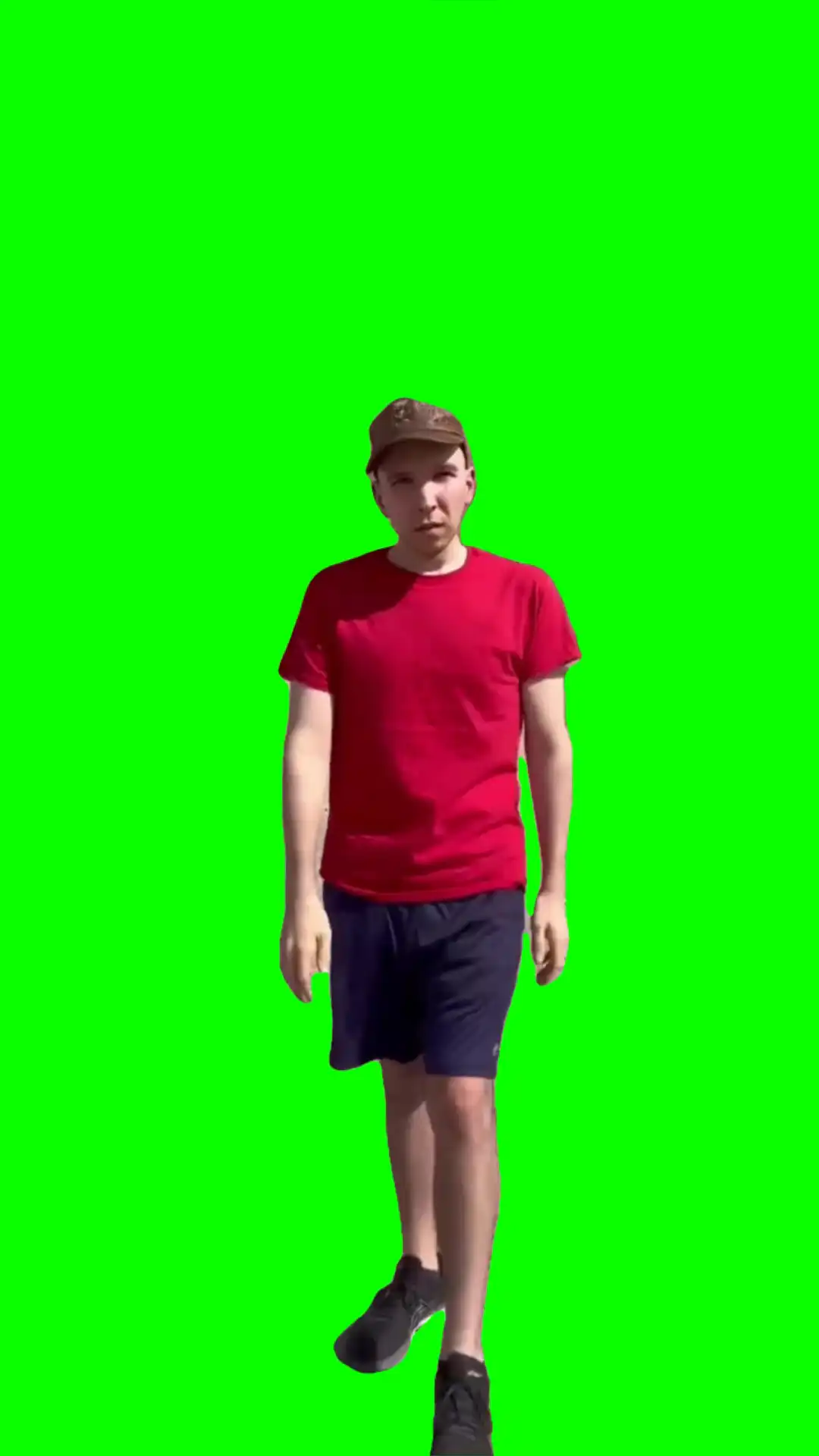 Nikocado im always two steps ahead Green screen