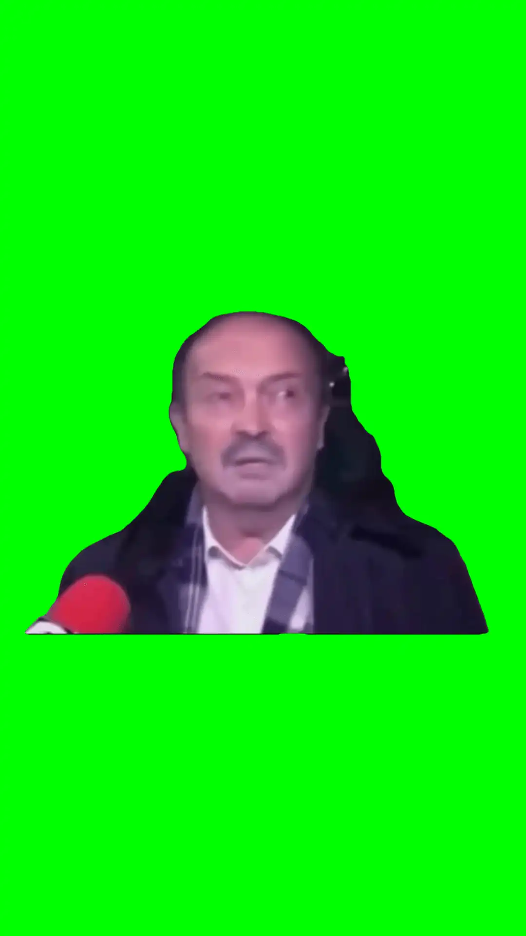 no words meme green screen