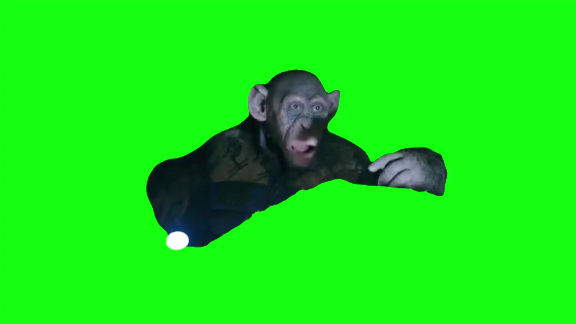 Oh No Planet of the Apes Meme Green Screen